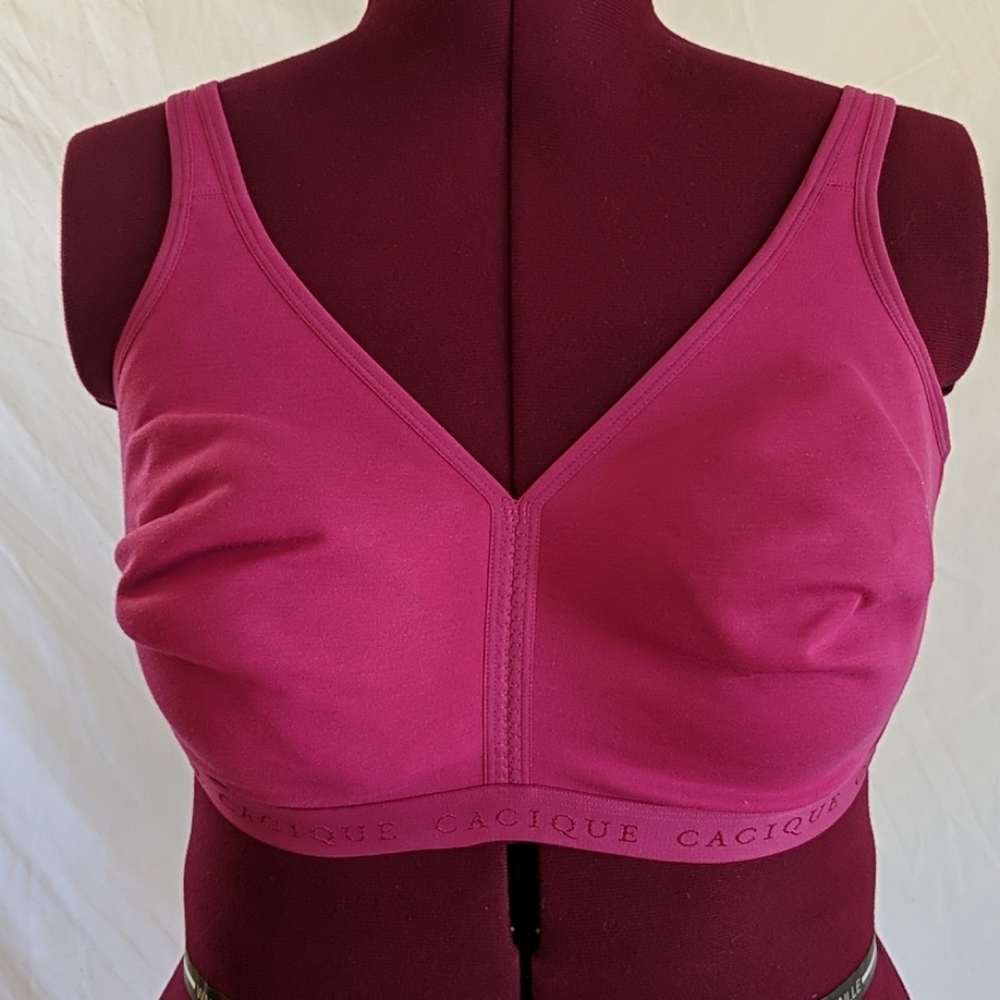 COPY - NWT Cacique lane bryant 40G no wire bra athletic